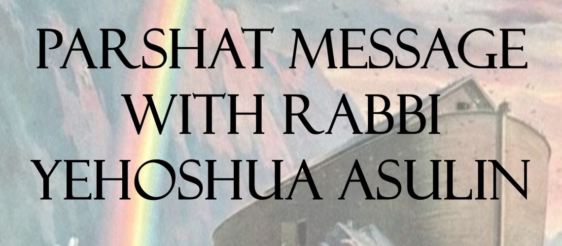 Noach Asulin