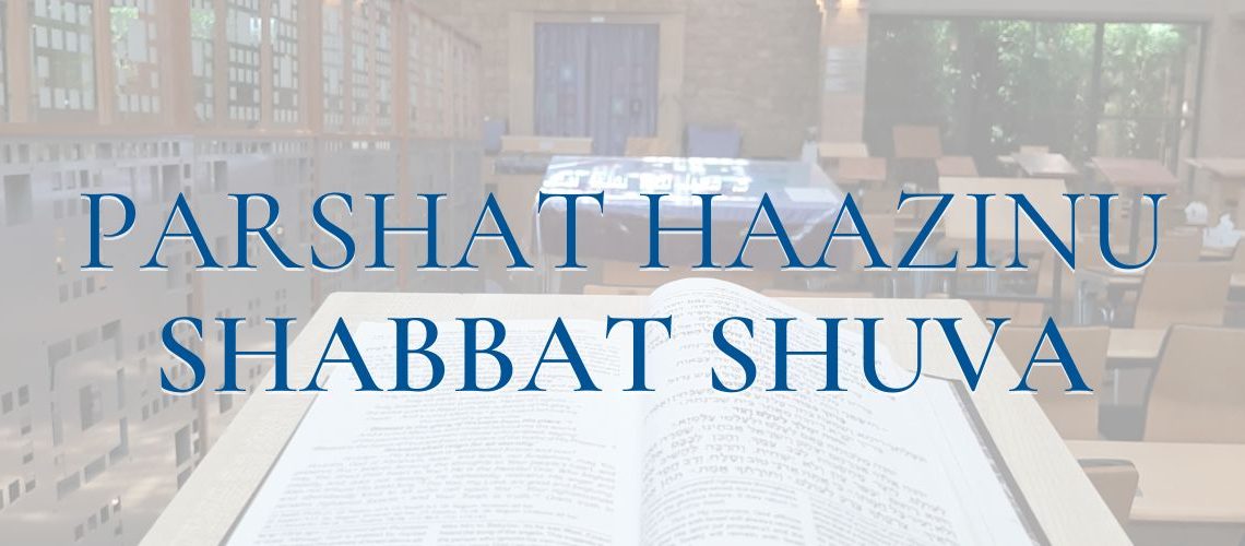 Parshat website image Haazinu