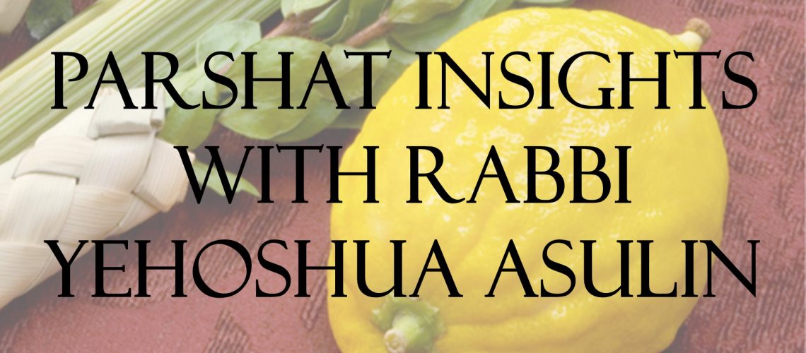 Sukkot image - Asulin